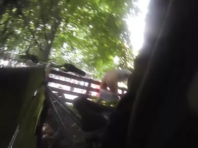 这个可爱的摩洛伊斯兰解放阵线吸大学学生公鸡，而他的朋友录制