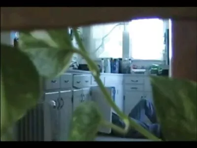 戴眼镜的书呆子宝贝从公鸡上抽搐