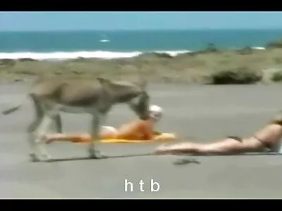 亚洲 亲爱的 洗澡