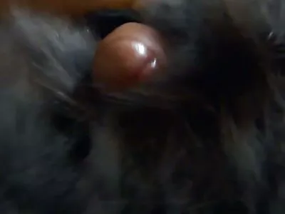 相机上的情侣刘海